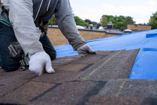 Best Storm Damage Roof Repair  in Conashaugh Lakes, PA